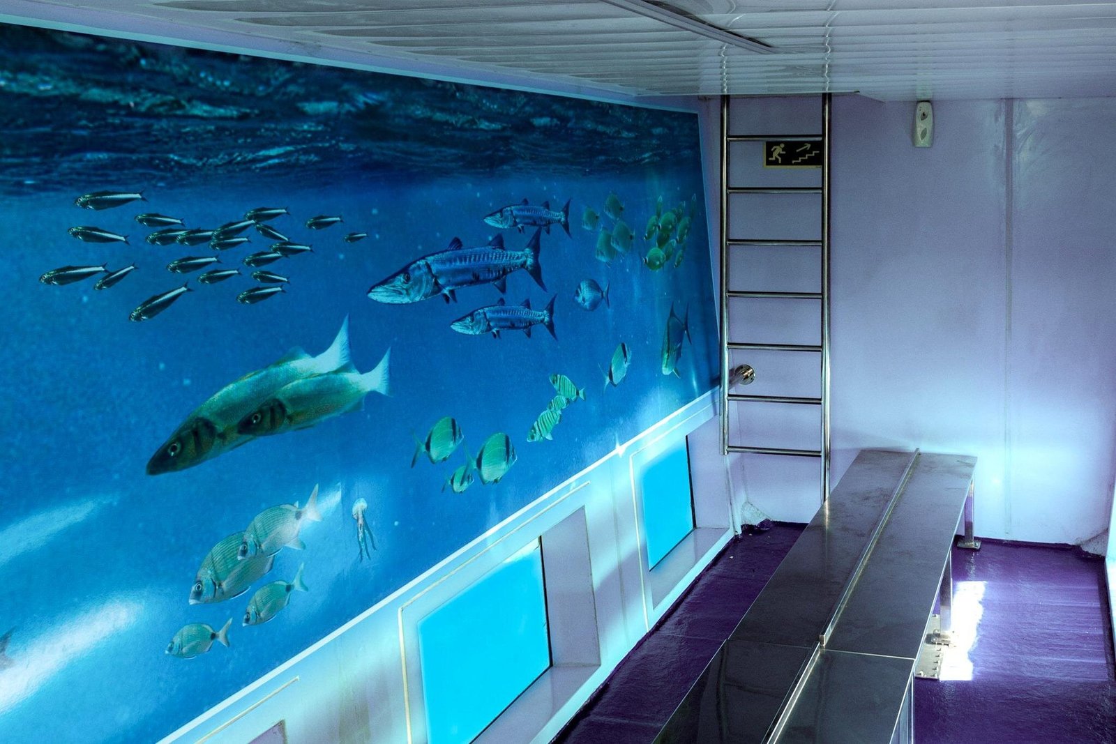 Vatican Museums & Sistine Chapel Guided Tour