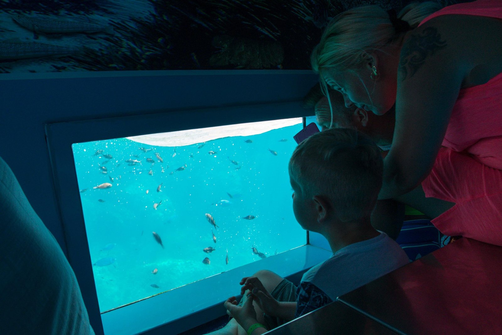 Vatican Museums & Sistine Chapel Guided Tour