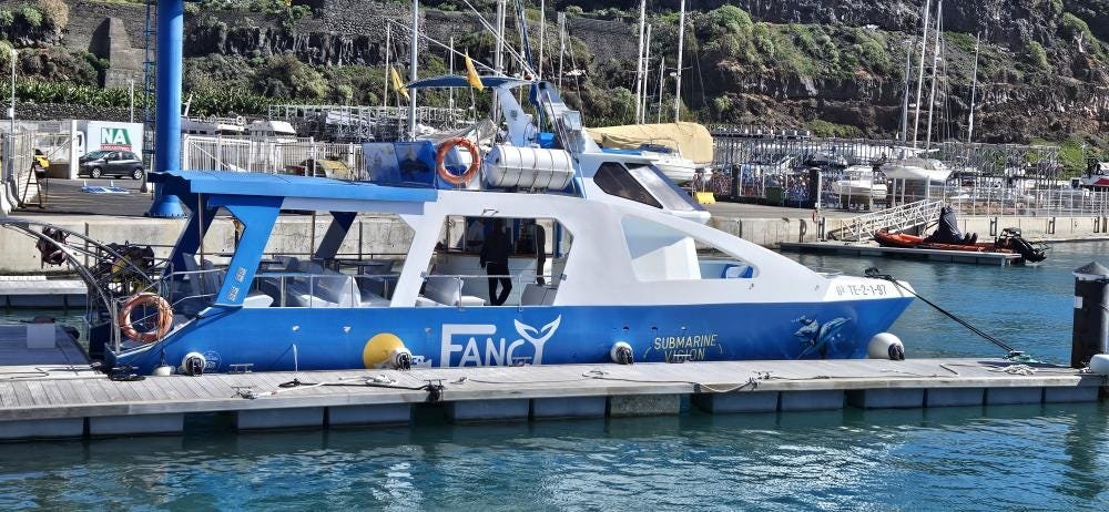 Dolphin & Whale Watching