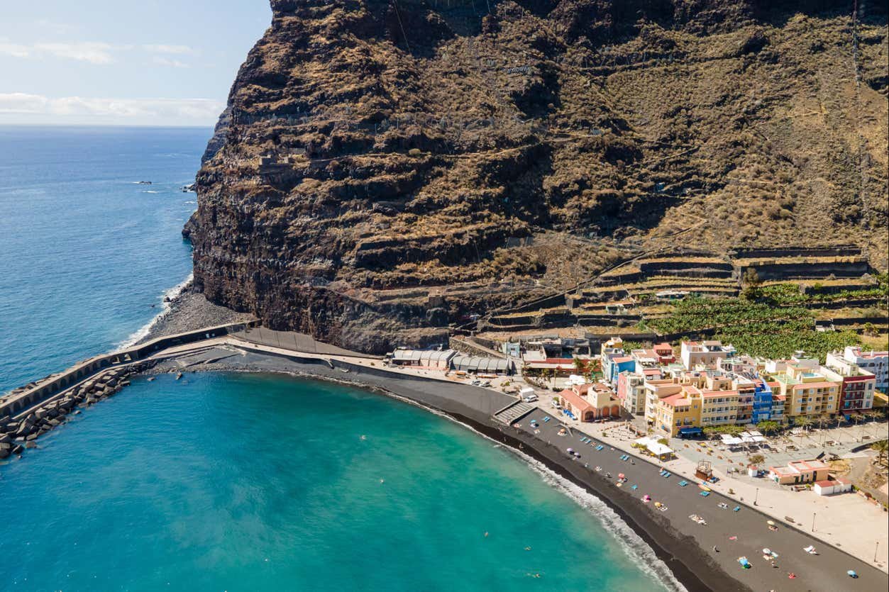 Dolphin & Whale Watching