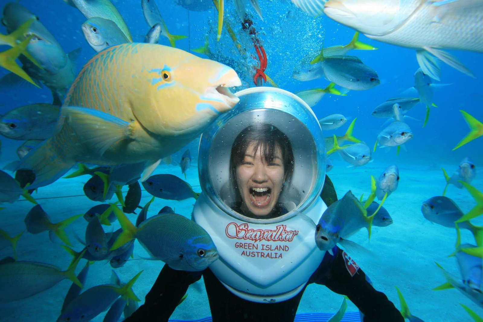 Glass Bottom Boat Tour & Snorkeling