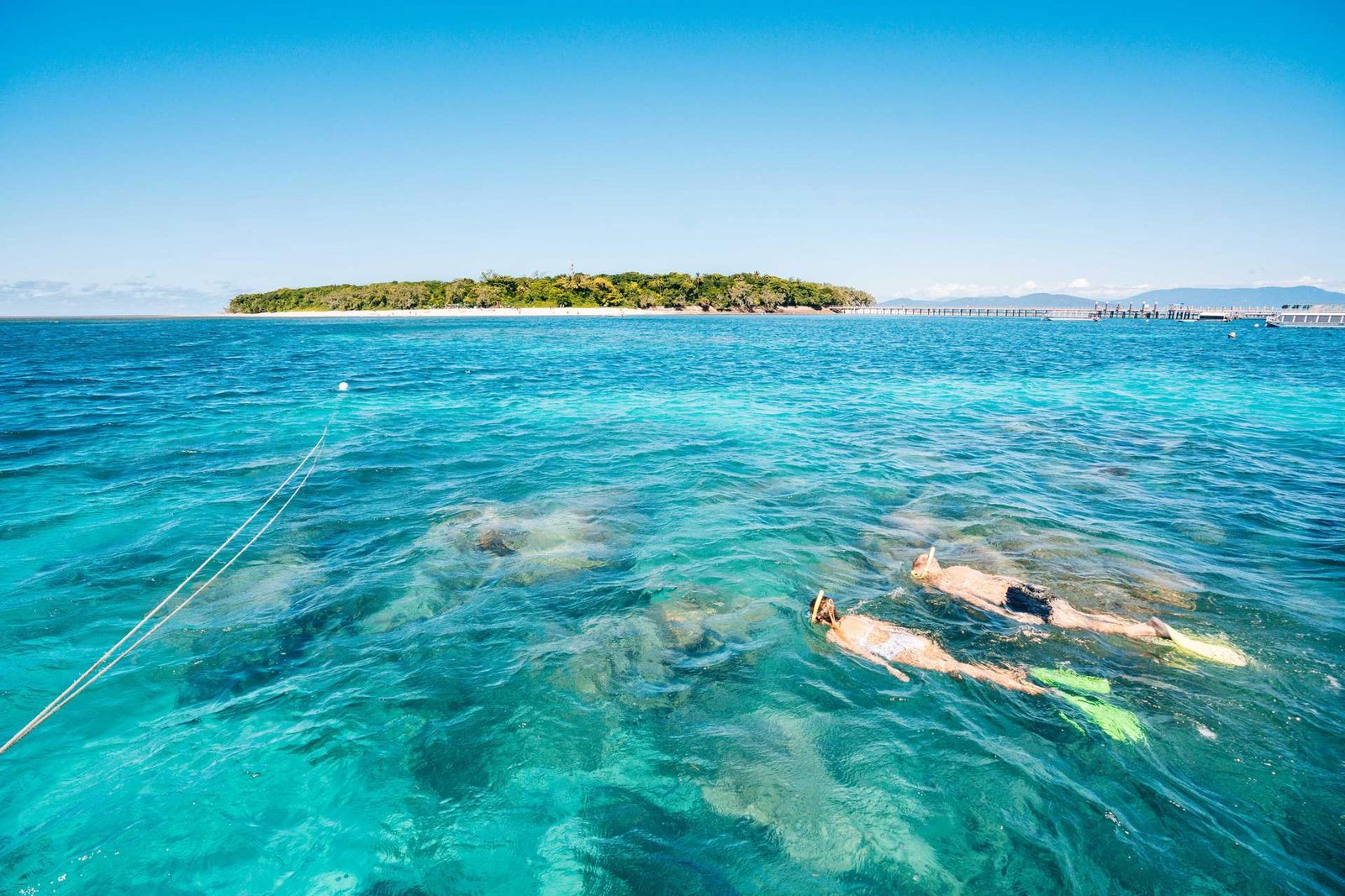 Glass Bottom Boat Tour & Snorkeling