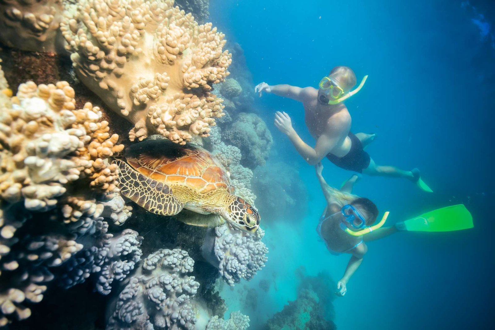 Glass Bottom Boat Tour & Snorkeling