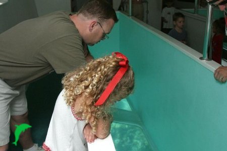 Vatican Museums & Sistine Chapel Guided Tour