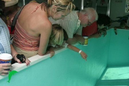 Vatican Museums & Sistine Chapel Guided Tour