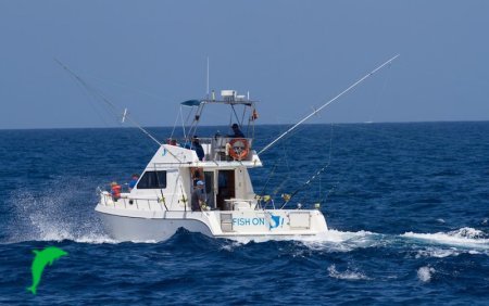 Barco de Pesca